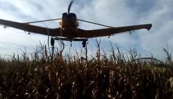 Video: el avión pasa a 50 cm a casi 200 km/hora, ¿mueve el cultivo?