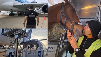La increíble vida del azafato de caballos: el día que se incendió la bodega, cuando llegó a transportar 117 equinos en un vuelo y la historia de cómo llegó a ese puesto