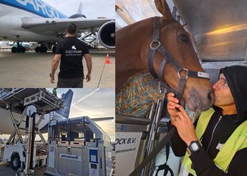 La increíble vida del azafato de caballos: el día que se incendió la bodega, cuando llegó a transportar 117 equinos en un vuelo y la historia de cómo llegó a ese puesto