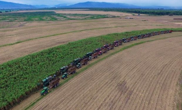 Crucial: qué y cuánto exporta cada provincia argentina