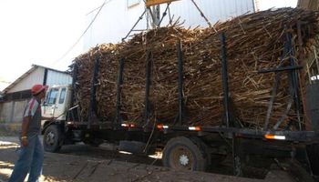 La producción de azúcar aumentó un 2,5%