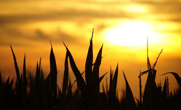 Pronóstico del tiempo: a partir del fin de semana se instalan condiciones otoñales y no descartan lluvias