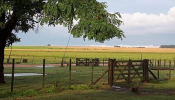 Vuelven las lluvias a la zona núcleo: qué dice el pronóstico del tiempo
