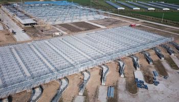 Se atrasa la mudanza del mercado de hacienda a Cañuelas hasta mayo: los motivos y cómo operará Liniers 