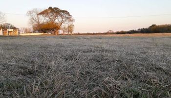¿Llegarán las lluvias "de mantenimiento" en el campo?