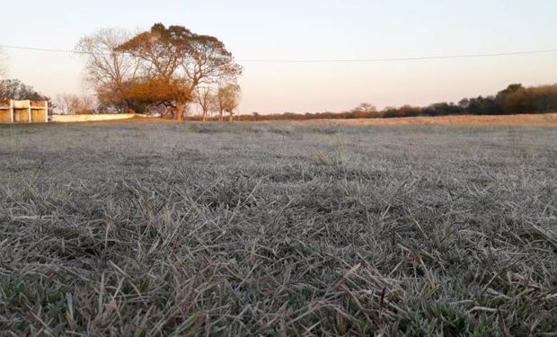 ¿Llegarán las lluvias "de mantenimiento" en el campo?