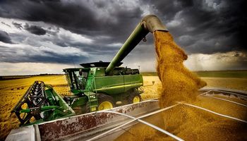 Sorpresas para el trigo: se recortó la cosecha de los principales países productores