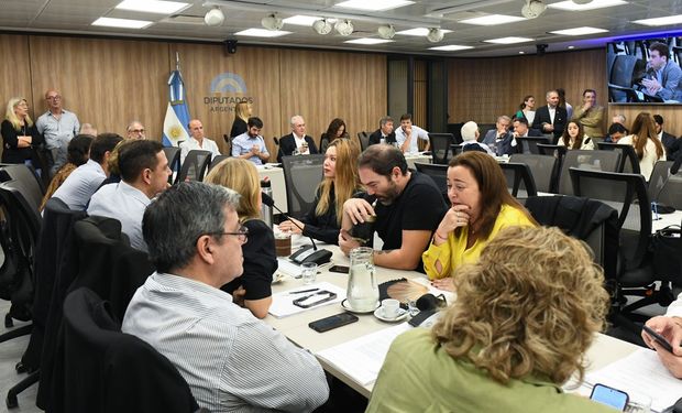 Retenciones:  no hubo dictamen y se postergó la discusión en el Congreso