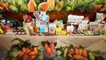 Conab assina acordo para aprimorar setor agrícola baiano