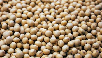 Tendencia bajista: el nerviosismo económico dejó nuevas pérdidas para soja, trigo y maíz
