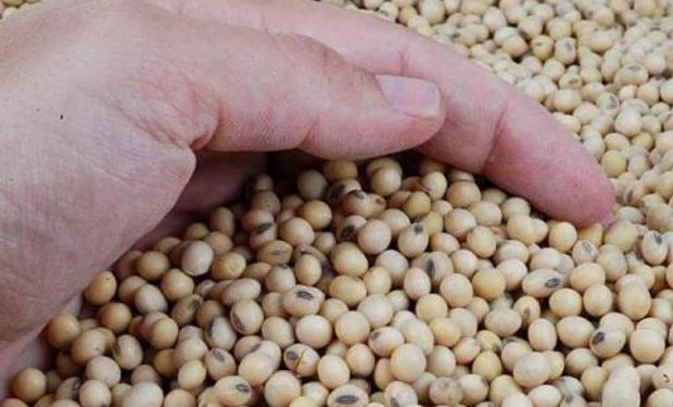 Biodiesel: "No hay razones que ameriten una baja en el precio de la soja", comentó la SRA.