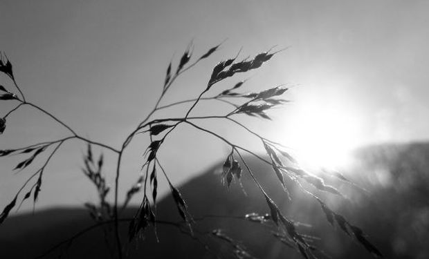 Continúan bajando las temperaturas mínimas