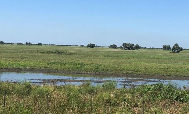 Santa Fe impulsa la creación de una reserva hídrica en los Bajos Submeridionales