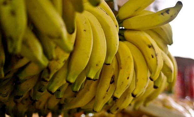 No caso das frutas, a banana teve alta de 15,08%. (foto - arquivo Agência Brasil)