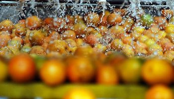 Aumento de oferta nacional de frutas derruba preços em maio, diz Conab