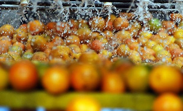 Aumento de oferta nacional de frutas derruba preços em maio, diz Conab