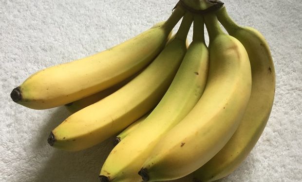 ¿Bananas en peligro? Un hongo amenaza a la producción global y lanzan una cooperación internacional para enfrentarlo