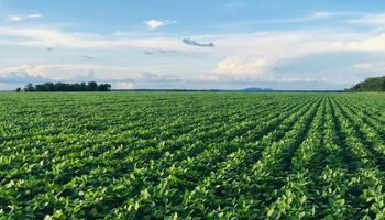 Banco do Brasil estrutura crédito para agricultura regenerativa com MyCarbon e Brandt