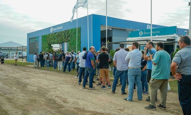 La barrera de los bancos: ganaderos piden financiamiento a medida tras la fuerte suba de la hacienda y el endeudamiento crece un 20 %