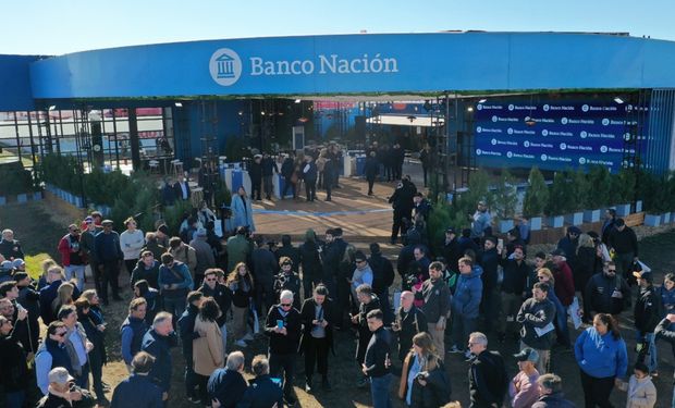 Hasta 12 cuotas para expositores: Banco Nación facilita el acceso a AgroActiva 2026