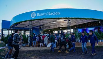 Tasas del 12% anual en pesos en Agroactiva y del 0% en dólares: estas son las líneas que presentó el Banco Nación