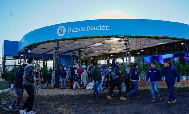 Tasas del 12% anual en pesos en Agroactiva y del 0% en dólares: estas son las líneas que presentó el Banco Nación