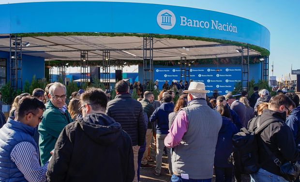 Cómo son las tasas del Banco Nación en Agroactiva 2025: "Necesitamos que bajen las tasas municipales para que el crédito se expanda con mucha mayor intensidad", destacó Tillard