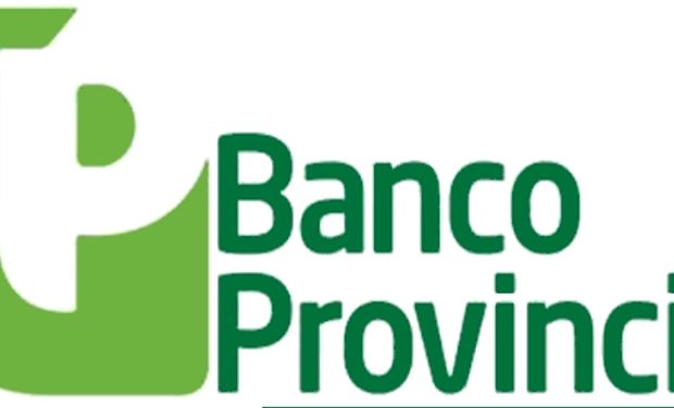 Banco Provincia en Expoagro: con la mira puesta en la producción