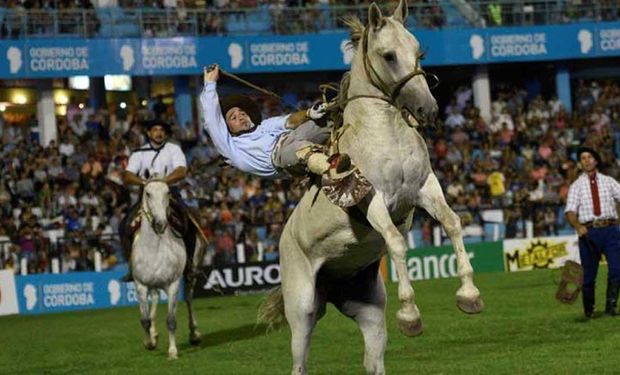 Exigen vacunación contra la encefalomielitis equina para los eventos deportivos: qué pasará con los festivales de doma