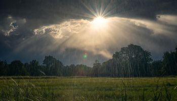 "Cuando sale el sol, en tu campo llueve": el sistema de costo de energía cero que asegura milímetros en 300 días al año
