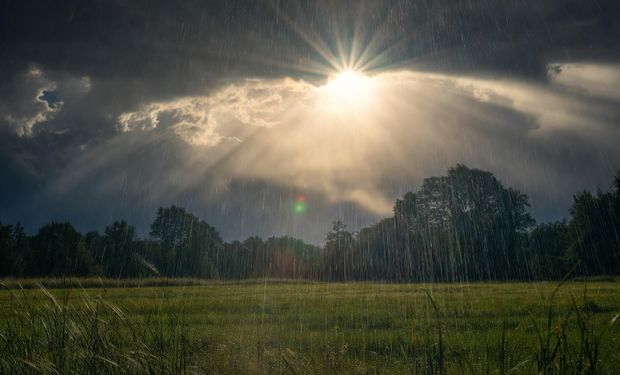 "Cuando sale el sol, en tu campo llueve": el sistema de costo de energía cero que asegura milímetros en 300 días al año