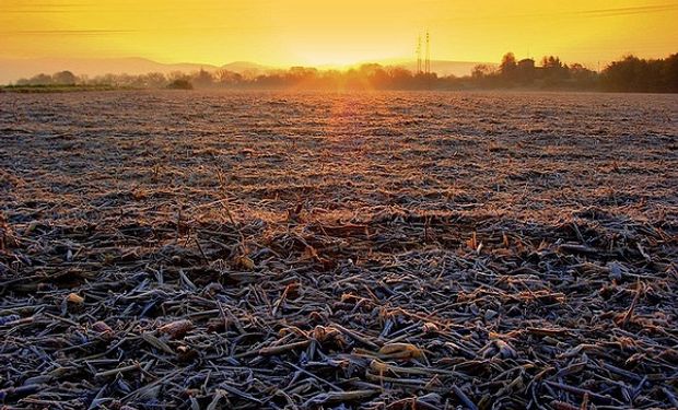 Pronóstico del tiempo: se espera una semana libre de lluvias y con temperaturas bajas