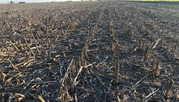 Bautizan a una región como la “zona del paraguas” por la falta de lluvias: dónde es y cuánto abarca