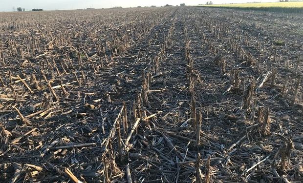 Bautizan a una región como la “zona del paraguas” por la falta de lluvias: dónde es y cuánto abarca