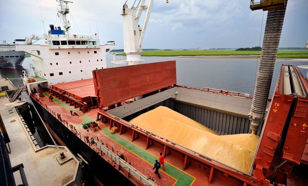 El agro liquidó 2524 millones de dólares, un 30 % más de divisas durante abril