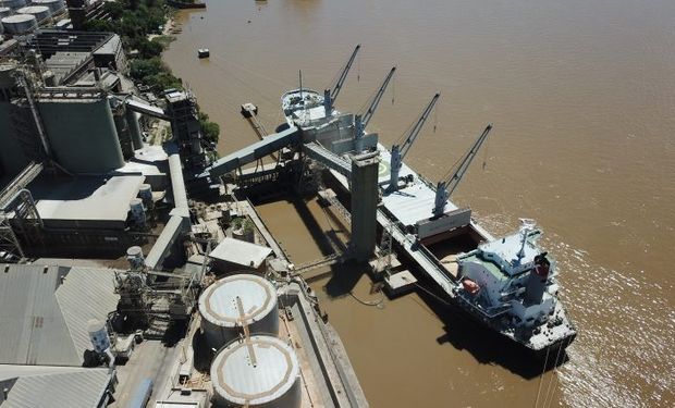 La agroindustria liquidó 3054 millones de dólares en mayo y marcó un importante aumento