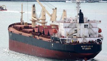 Un barco que transportaba granos argentinos fue atacado en el Mar Rojo