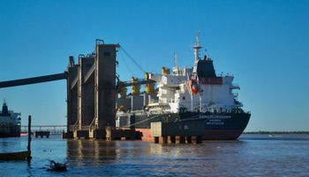 Continúan las negociaciones con China para incrementar las exportaciones agroindustriales