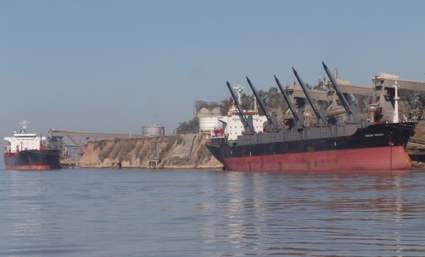 Las exportaciones de granos cayeron 7,1%