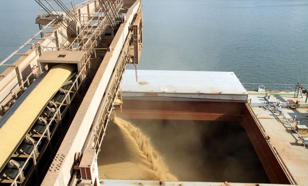 La cola de barcos en Brasil crece, y el abastecimiento está normalizado. Los rindes vienen bien y la recolección gana ritmo.
