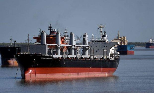 Trigo: crece el compromiso de embarques por el paro de 14 días que afecta a la exportación