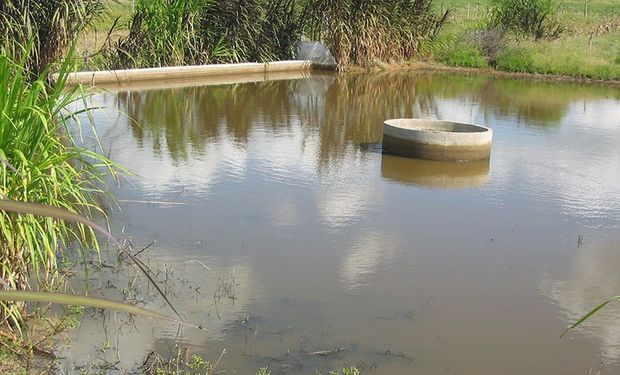 Barragem subterrânea no semiárido permite a conversão de áreas secas e inaptas à atividade agrícola em solos de produção agropecuária. (Foto - Embrapa)