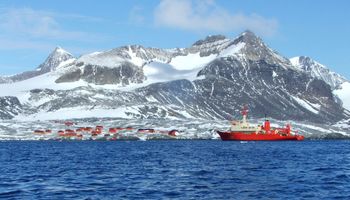 Antártida: se registró un "récord absoluto" de temperatura