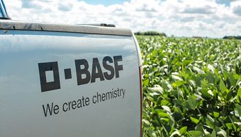Expoagro 2024: las novedades que presenta BASF en protección de cultivos, tratamiento de semillas y nuevas variedades