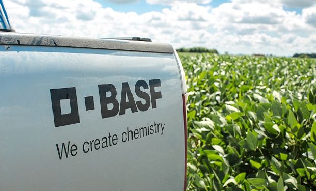 Expoagro 2024: las novedades que presenta BASF en protección de cultivos, tratamiento de semillas y nuevas variedades