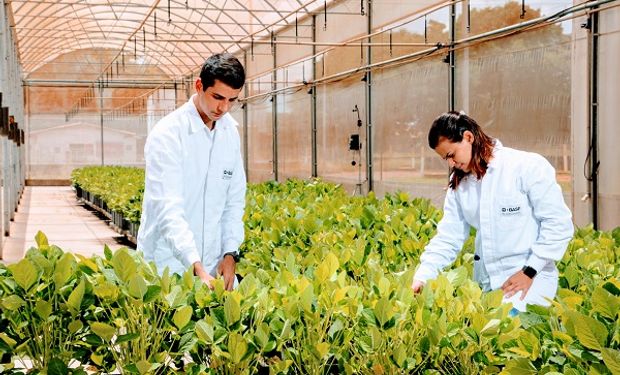 El desarrollo de herramientas para protección de cultivos, semillas y soluciones digitales de BASF contribuyen a impulsar una agricultura cada vez más sustentable para el beneficio de los productores, el medioambiente y la sociedad.