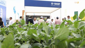 BASF se lanza como un jugador estratégico en soja