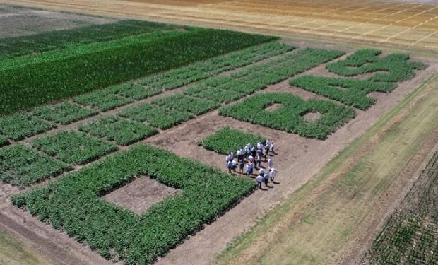 BASF se unió a ucrop.it y logró nuevo paso en la reducción de la huella de carbono