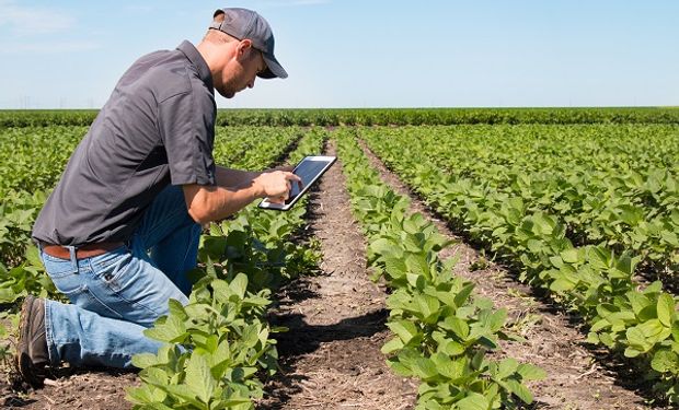 Adelanto para productores: las novedades en protección de cultivos, semillas y digitalización de BASF en Aapresid
