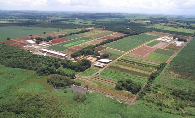 Cumple 40 años la estación de investigación agrícola que desarrolló las moléculas más utilizadas por productores